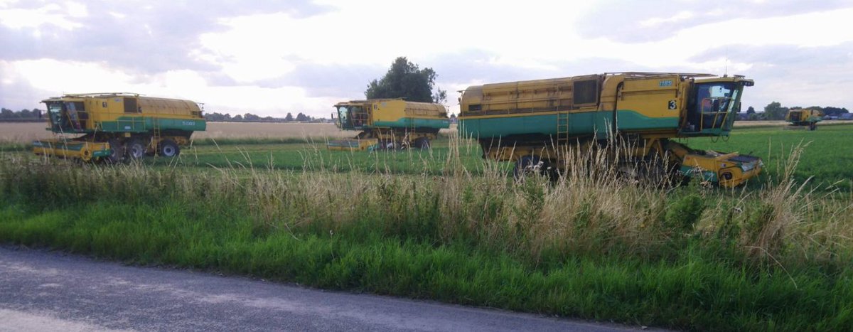 humphbaker's tweet photo. A joy, truly, to follow these four as they trundled a few miles to harvest our neighbour's crop; of course we said 'thank you' to them.  They said most complain, sadly https://t.co/Tuu8U8wL7V