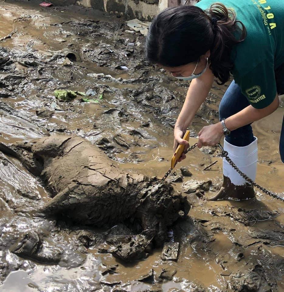 Smart_Drayy tweet media