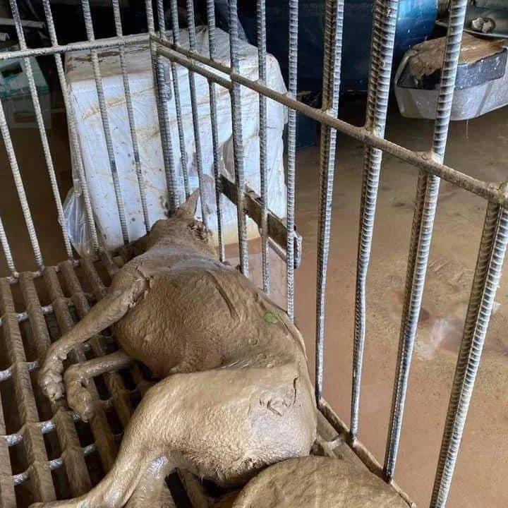 Smart_Drayy tweet media