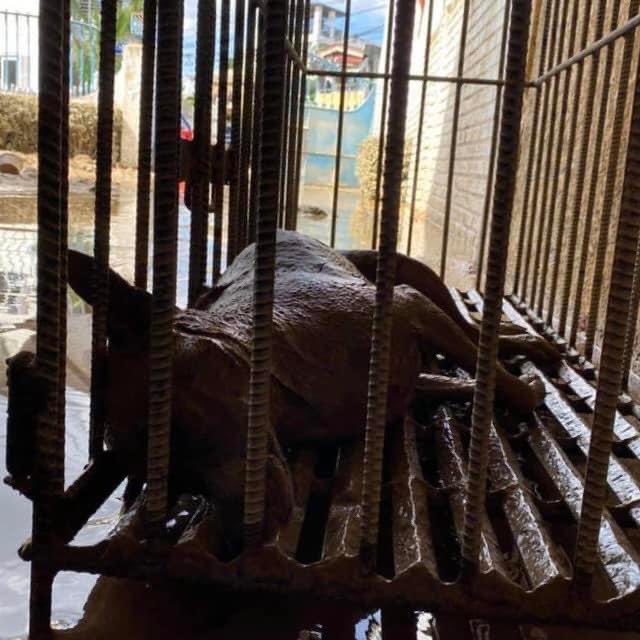 Smart_Drayy tweet media