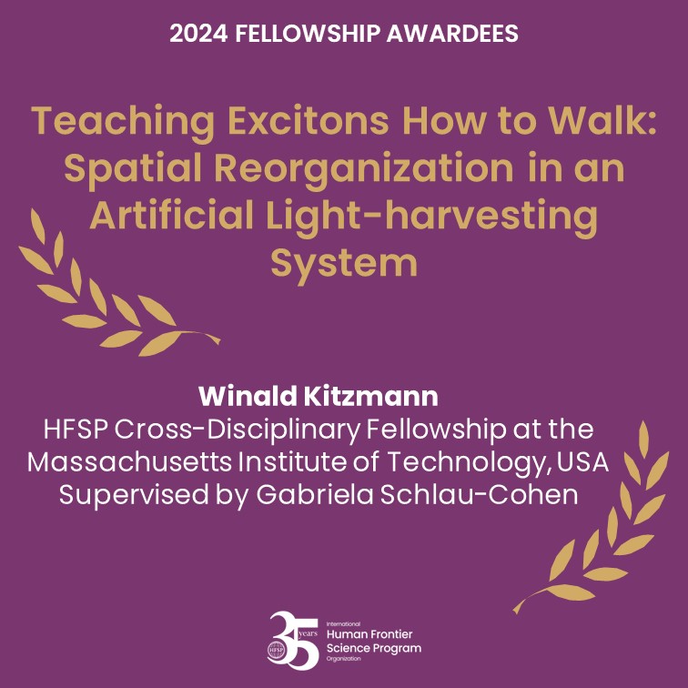 HFSP's tweet image. Meet @winald_kitzmann, a #HFSPFellowships2024 awardee!🌿Inspired by nature, he’s developing synthetic nano-machinery that mimics photosynthesis with dynamic excitonic circuits. Exciting advancements in energy capture and conversion are on the horizon! 🔬Stay tuned! #BasicScience