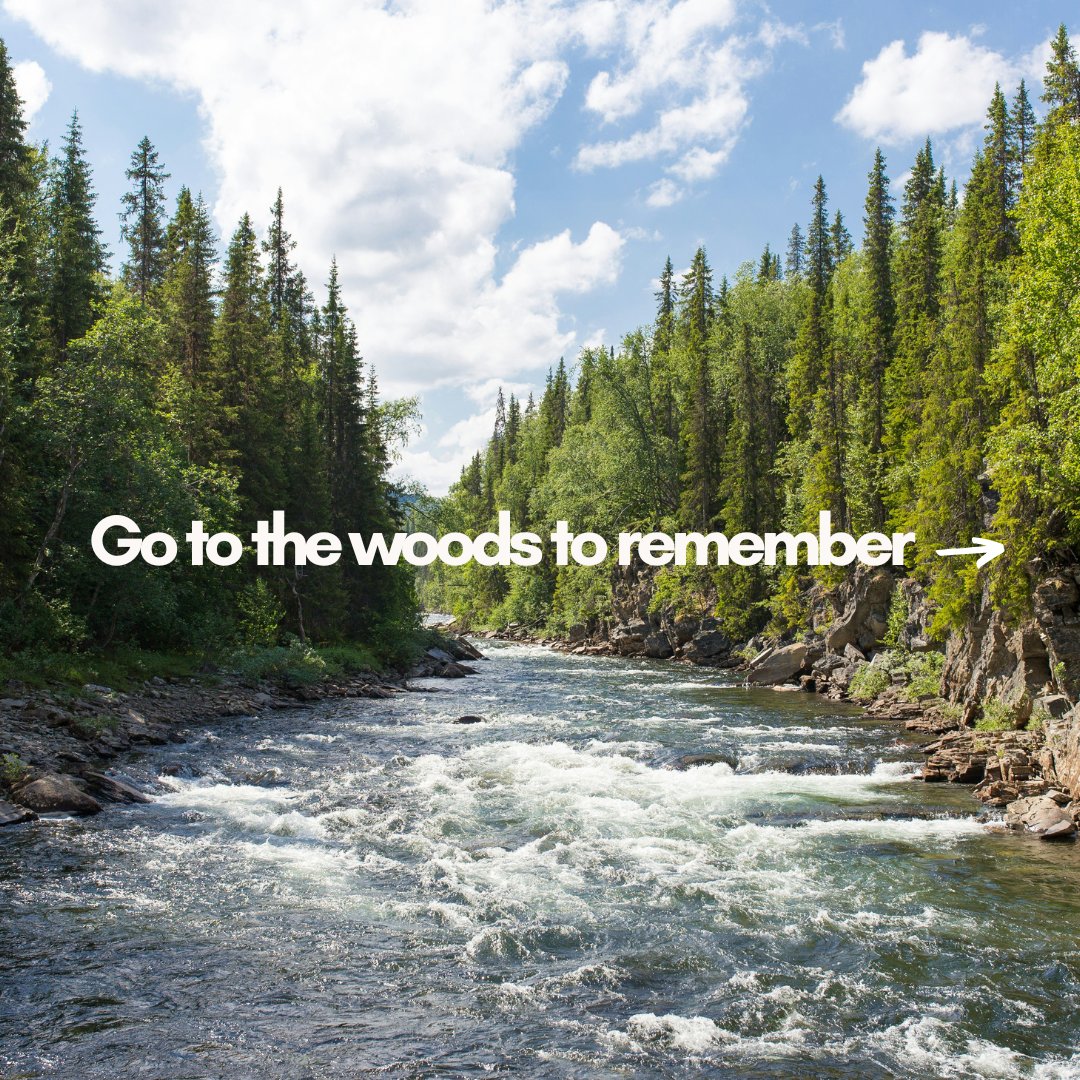 YugenWorldCo's tweet photo. It doesn't matter how slowly you are going, as long as you don't stop. 🌲

#motivational #motivationalvideos #motivationalpost #motivationalspeakers #motivationalquotesdaily #motivationalthoughts #motivationalspeech #austriatravel #motivationalposts  #motivationalvideo https://t.co/EY1ROocveS