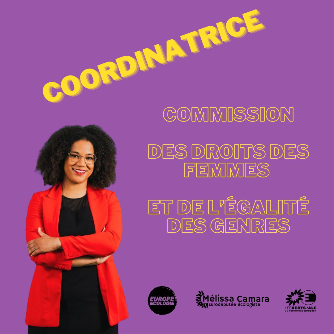 Ce matin avait lieu la première réunion des coordinatrices de la commission des droits des femmes et de l'égalité des genres. Je suis honorée d'être la coordinatrice pour le groupe <a href="/GreensEFA/">Greens/EFA in the EU Parliament 🌍</a>.  5 ans pour une Europe féministe ! 💜