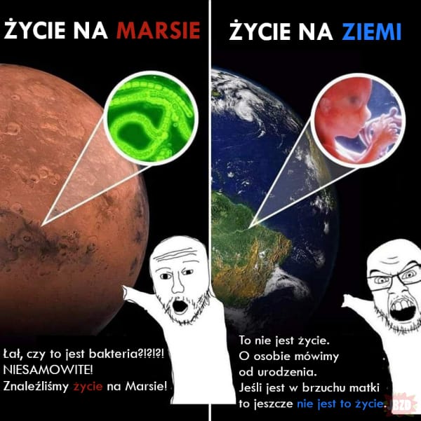 Polski Komitet Narodowy tweet media