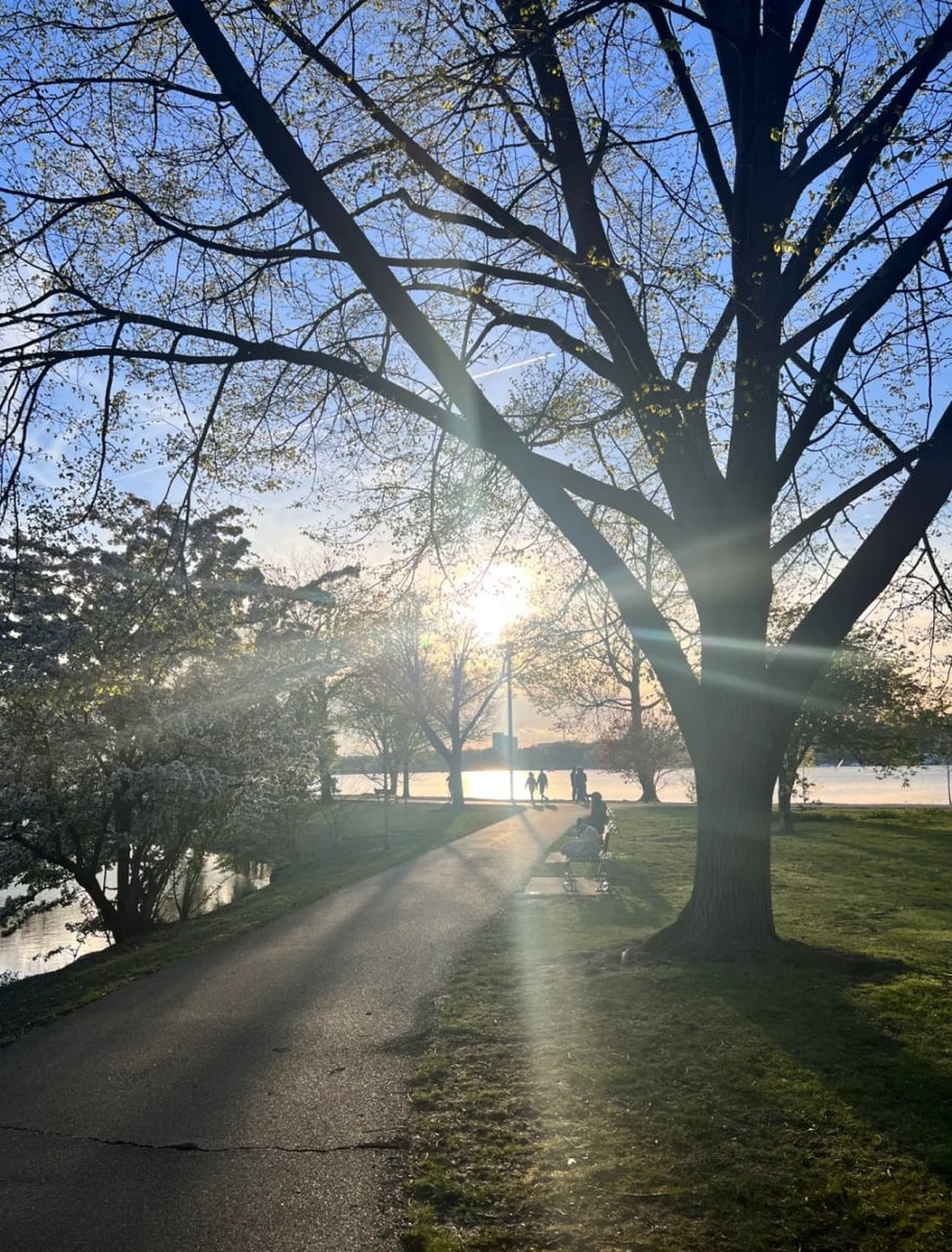 I love sunset so much🌄