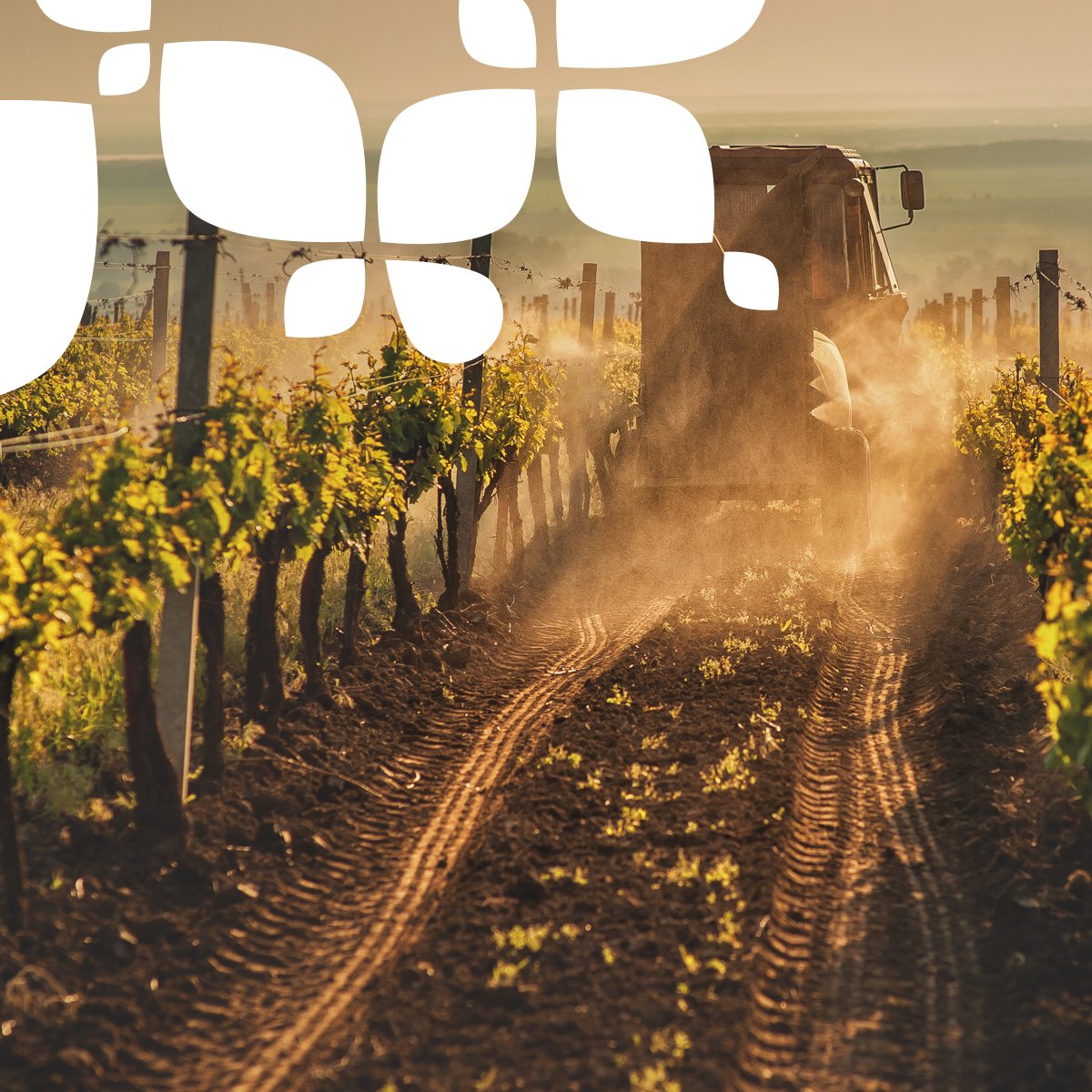 Nuestro país genera el 13% de la producción agrícola de la #UniónEuropea 🇪🇺, solamente por detrás de Francia.
 
Nuestra #agricultura 🌱 tiene un enorme y más que merecido peso estratégico en la economía comunitaria. 

#SinTiNoSoyNada 💚