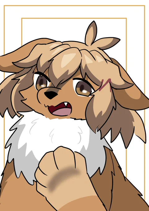 犬花 