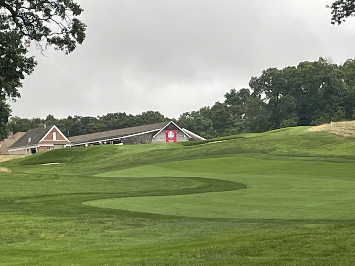 Andrew Wilson tweet media