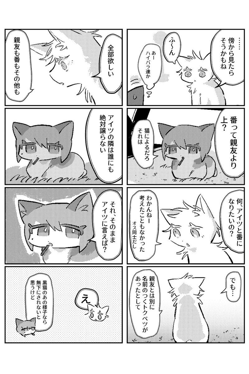 猫五夏82 白猫視点 