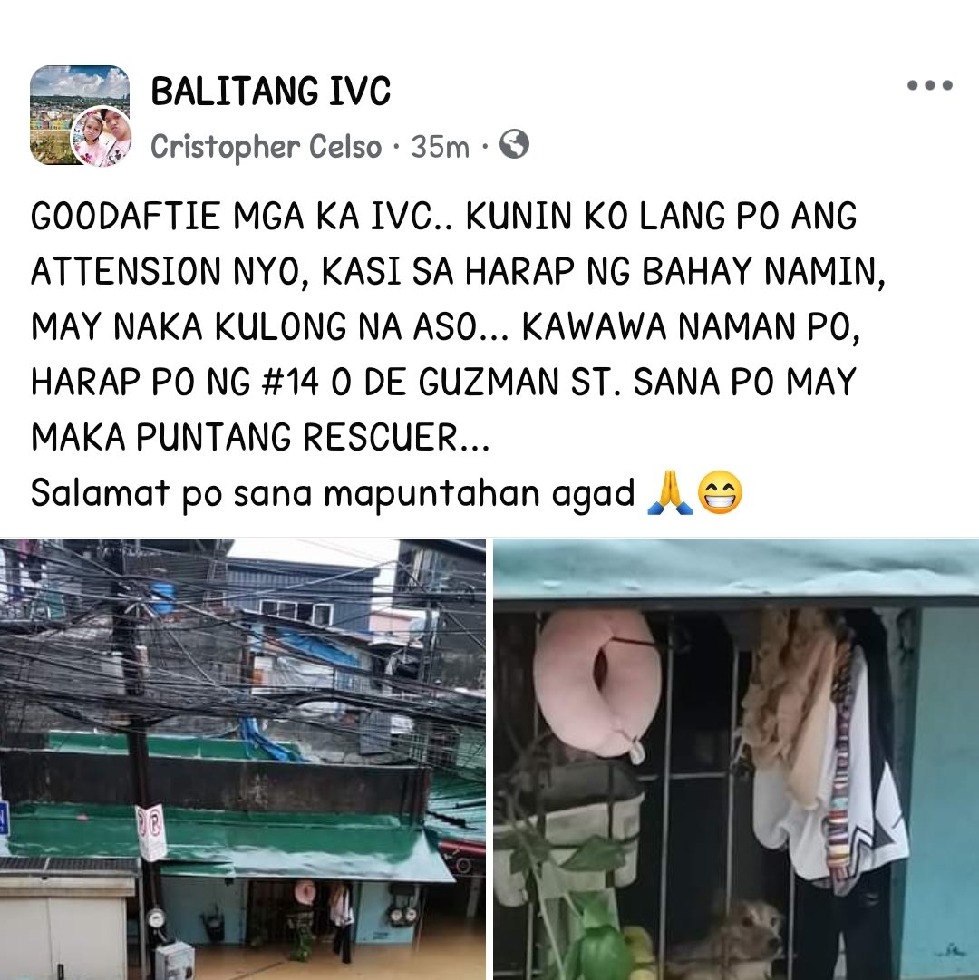 violetteatelier's tweet photo. hi again !! pls need po ng rescue ng dog na toh !! caged po siya and needs help πββοΈ
π #14 0 De Guzman St.
#CarinaPH #RescuePH #AngatBuhay #NoPetsLeftBehind #PAWSPH @PAWSPhilippines @angatbuhay_ph @pawssionproject #typhooncarina #StrayPets #Stranded #NeedRescue https://t.co/Pvf6HHD1Da