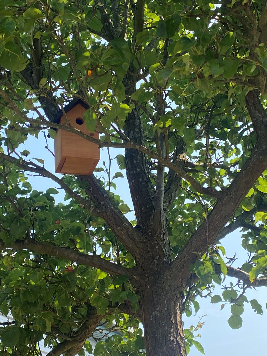 Thank you to Tony, our handyman, here at Greenway Business Centre for putting up two new bird houses and a bug hotel! We're very excited to see what will occupy these homes in the future. 🌳
#harlow #bughotel