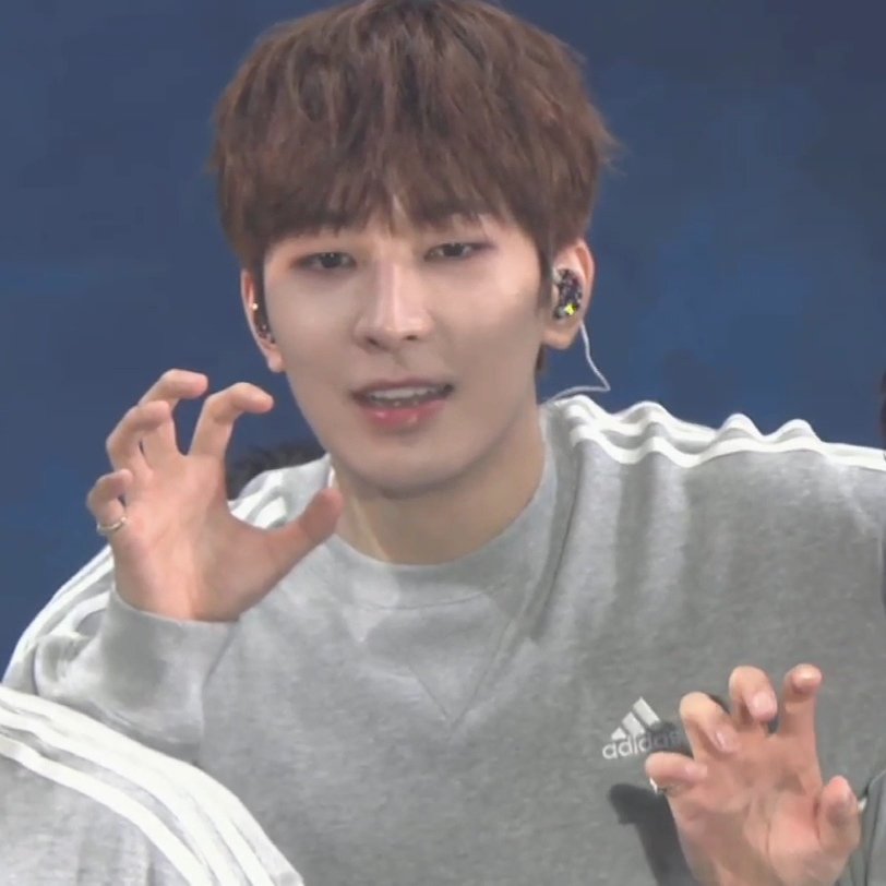 아 미치겟다 전원우 진짜 고양이 ㅋㅋㅋㅋㅋㅋ