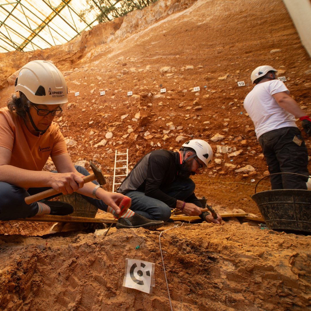 iphes's tweet photo. 🔴 Noves restes de Homo antecessor obren una nova etapa excepcional amb grans descobriments als jaciments de Atapuerca 🫶

#Atapuerca2024 #GranDolina #TD6 #Homoantecessor https://t.co/c6mc3DeIgT