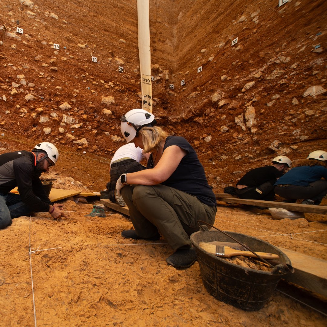 iphes's tweet photo. 🔴 Noves restes de Homo antecessor obren una nova etapa excepcional amb grans descobriments als jaciments de Atapuerca 🫶

#Atapuerca2024 #GranDolina #TD6 #Homoantecessor https://t.co/c6mc3DeIgT