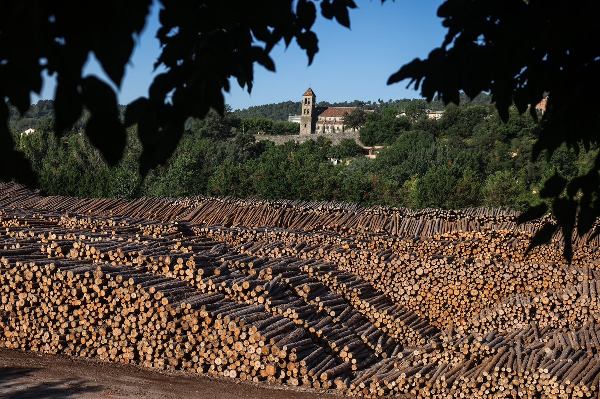 🏭 Actualment, <a href="/Grup_Boix/">Grup Boix</a> té les dues plantes productives al #Berguedà, que generen una ocupació directa d'aproximadament 120 treballadors.

🤝 Durant la visita, la consellera s'ha reunit amb la direcció de l'empresa i ha fet un recorregut per les seves instal·lacions.