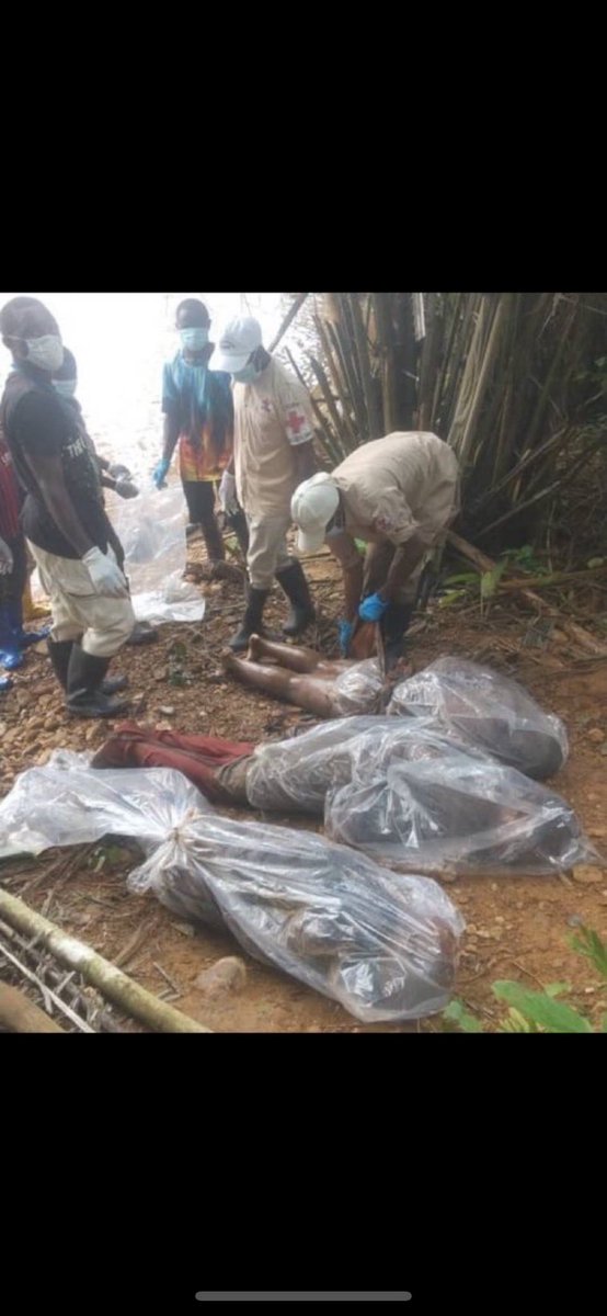 Dachronica's tweet photo. Congo —updates : In Nord Kivu , Lubero , ISIS killed 59 civilians ( not 24 mentioned earlier) , 35 among them were decapitated . As announced by former MP Promesse #Matofali

The highest number of victims in this month , the second in last 3 months after over 100 killed in May 

And dozens killed in June