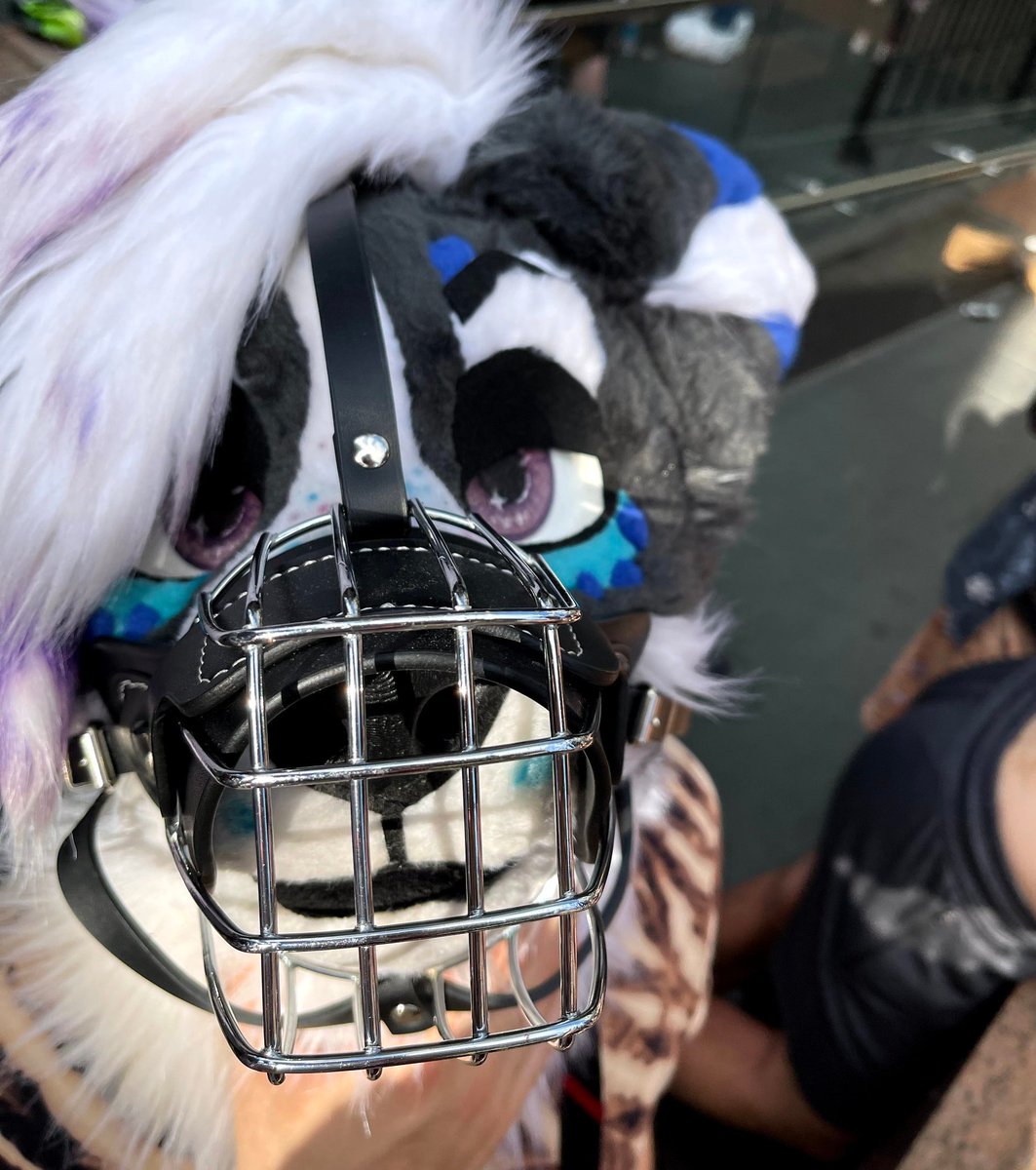 her ass is NOT allowed to talk while at the dining table 

 📸<a href="/EridaniFox/">Eridani (Bluesky Exclusive)</a>