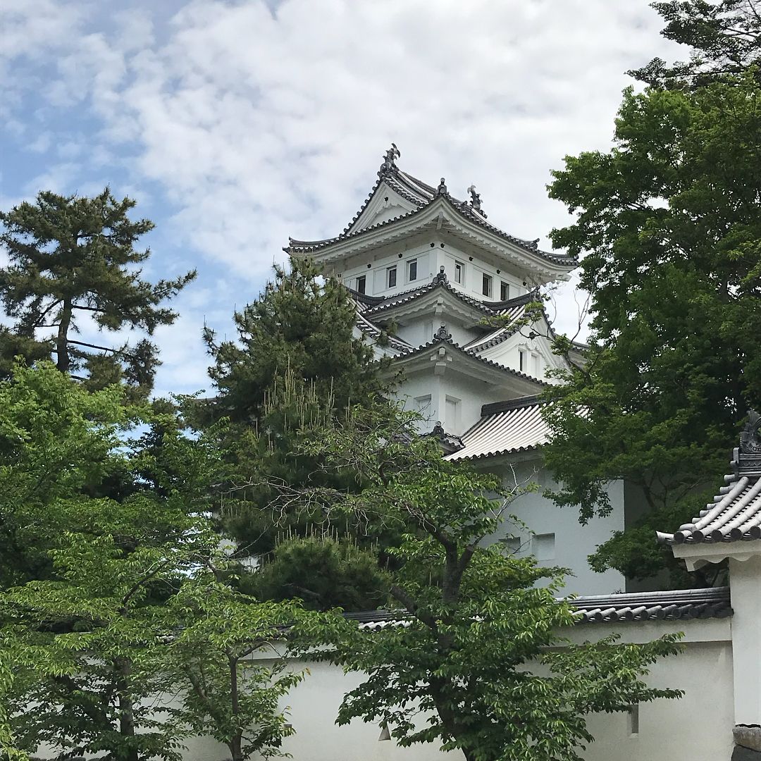 aaaa1525151's tweet photo. 戸田氏が居城とした大垣城🏯
関ヶ原の戦いは西軍石田三成の本拠に
JR大垣駅から大垣城まで7分🚶‍♂️
スタンプは天守1階の入口付近
戦争で天守は焼失 再建天守
それまでは国宝だったので😂
1階にある関ヶ原の戦いのDVDが面白い👍
五大老五奉行制度を現代の株式会社に
置き換えていて分かりやすかった https://t.co/VuZWPCiJrO