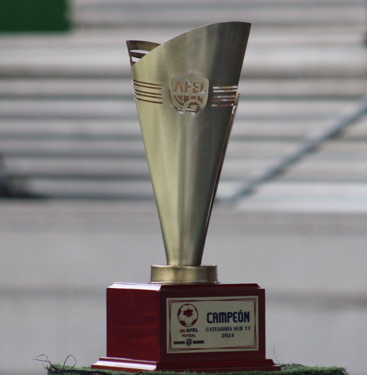 SomosAfel's tweet image. ¡SE BUSCAN A LOS CAMPEONES! 🔊🏆 

Viviremos HOY las finales de la Liga AFEL Futsal desde el Polideportivo Aquilino Juares 🏟️🏆

#SomosAFEL #TeamAFEL