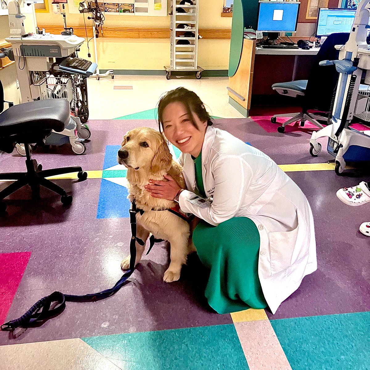Michelle H. Kim (@michellehkim_md) on Twitter photo I was pawstruck to meet <a href="/YNHH/">Yale New Haven Hosp</a> Childrenās Hospitalās in-residence dogtor, Nana, the golden retriever, during rounds! Nana is a full-time employee who is supported by <a href="/dunkindonuts/">Dunkin'</a> Joy in Childhood Foundation. We are fur-tunate to have a friendly ally for our pediatric inpatients! I was pawstruck to meet <a href="/YNHH/">Yale New Haven Hosp</a> Childrenās Hospitalās in-residence dogtor, Nana, the golden retriever, during rounds! Nana is a full-time employee who is supported by <a href="/dunkindonuts/">Dunkin'</a> Joy in Childhood Foundation. We are fur-tunate to have a friendly ally for our pediatric inpatients!