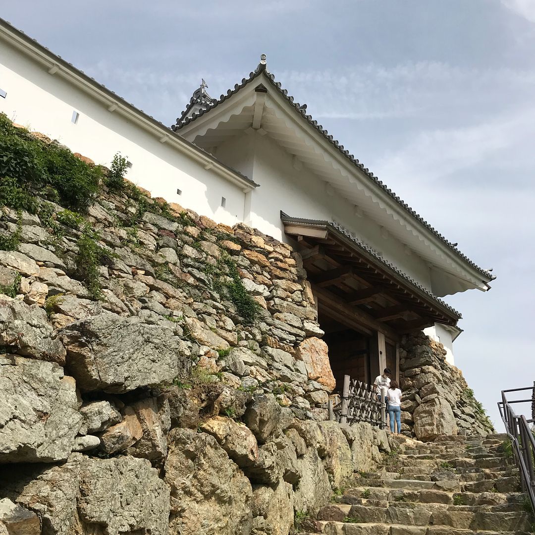 aaaa1525151's tweet photo. 徳川家康が築き17年居城とした浜松城🏯
松江城築城の堀尾吉晴、
老中水野忠邦が城主となった出世城
浜松駅から浜松城公園入口までバス10分🚌
バス停から浜松城まで10分🚶‍♂️
スタンプは天守1階奥にある
模擬天守or復興天守
天守に三方ヶ原の戦いの映像あり👍
小豆餅と銭取の地名が残っていて面白い😀 https://t.co/s2WrLziW6a