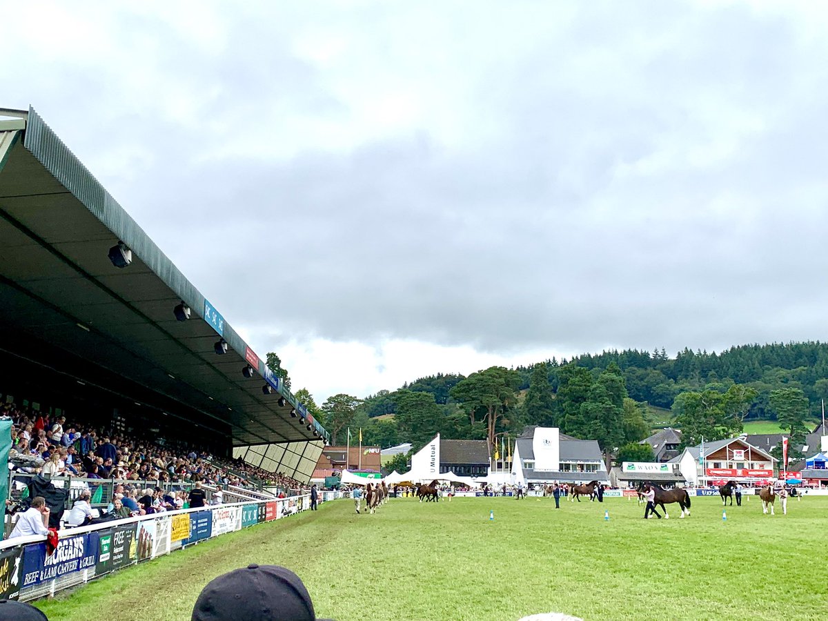 Iwan Thomas tweet media