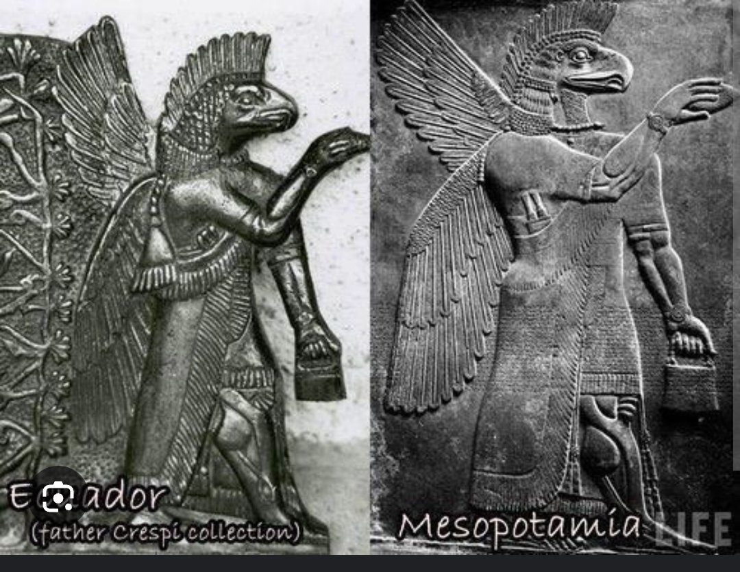 Bloodline <a href="/inkedELCHAPO/">inkedELCHAPO</a> <a href="/elchapo_oficial/">El Chapo De Sinaloa</a> <a href="/sinaloa/">RET MARUT ★</a>