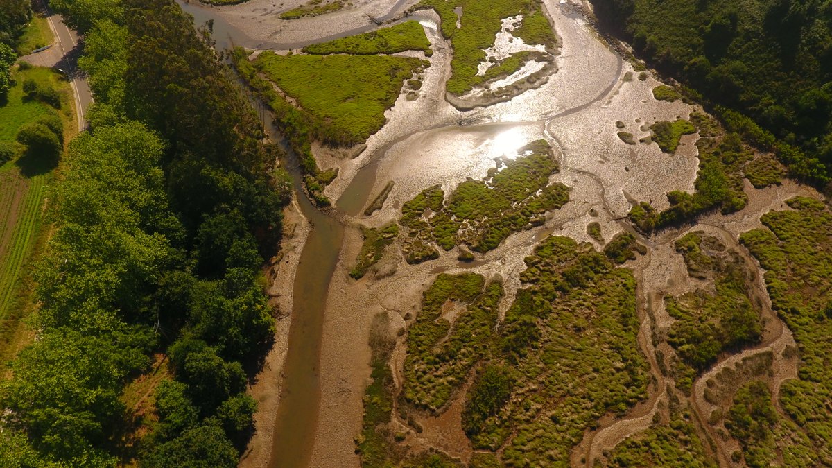 📢<a href="/IHCantabria/">IHCantabria</a> celebró la clausura del proyecto europeo LIFE AdaptaBlues, con una jornada para presentar sus resultados y debatir sobre la aplicación de Soluciones basadas en la Naturaleza como medidas de adaptación al cambio climático en zonas costeras.👉bit.ly/3Wgkg2