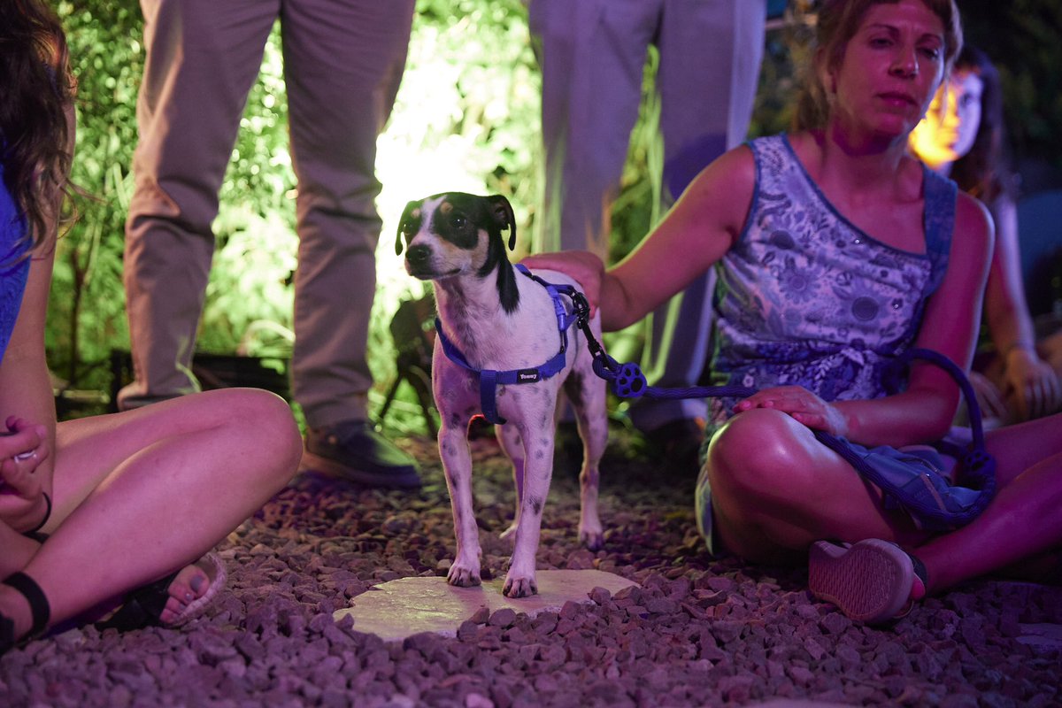 Noche mágica en el Jardín de los poetas… 🤍

<a href="/ajmorella/">Ajuntament de Morella</a> | <a href="/ACEcultura/">Acción Cultural AC/E</a> | <a href="/FestClasica/">FestClásica</a>