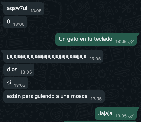 𝗦𝗻𝗮𝗽! 𝘾𝙡𝙖𝙥! 𝗖𝗹𝘂𝗯 tweet media