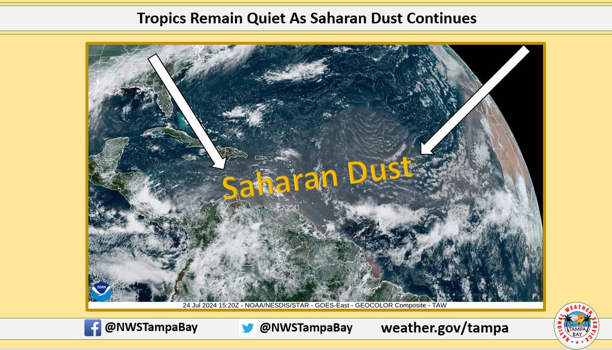 🌀Tropical Update🌀

- Saharan dust preventing development in the Tropical Atlantic Basin
- No tropical cyclone development is expected in the next 7 days

#FLwx
