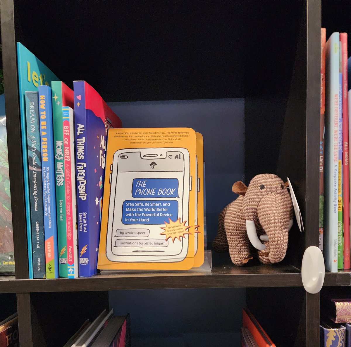 PollyHolyoke's tweet photo. Here is another excellent book placed face out at Townie Books in Crested Butte along w SKYRIDERS. I think @SpeerAuthor and I and @SCBWIRockyMtn would all agree that the store's owner has great taste in books!!! #mglit #kidlit #indiebookstores #flysafeflyfree https://t.co/zNZ1BPtTEY