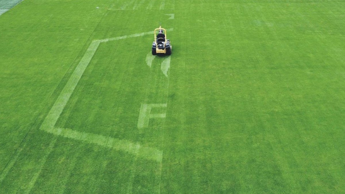 Natural Grass tweet media