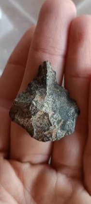 Scavengers ERC tweet media