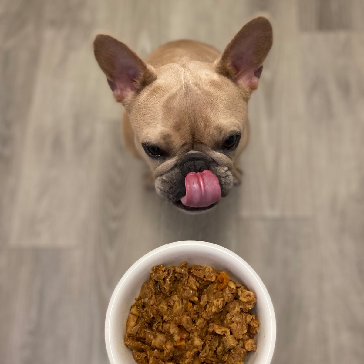 Which recipe evokes the most drools from your dog? Let us know! ⤵️