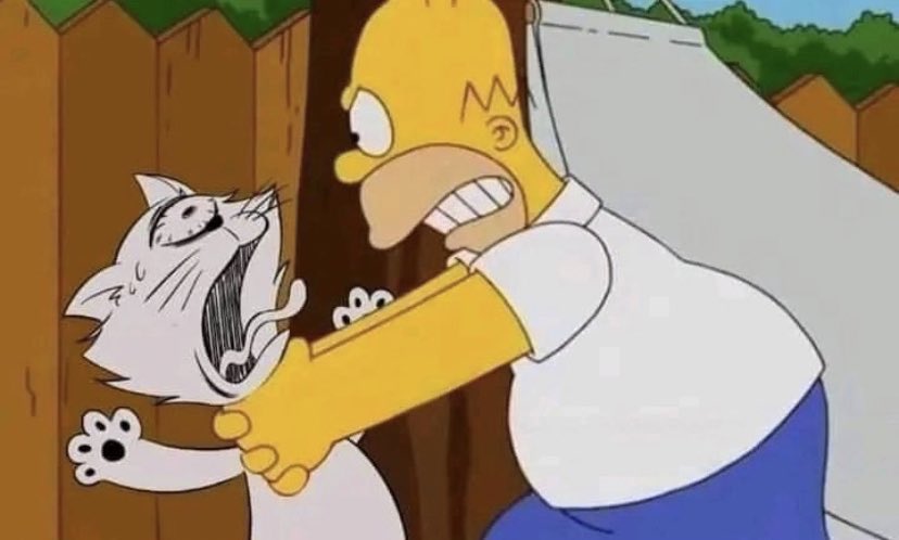 delu ദ്ദി ≽^⎚˕⎚^≼ .ᐟ cw:gintama tweet media