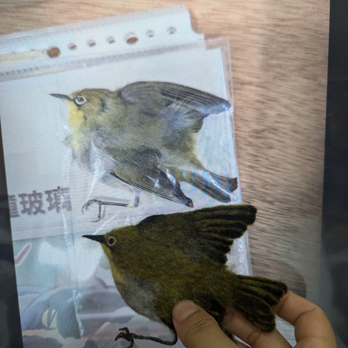 hawkfire7's tweet photo. 在去當挺挺志工時碰到研究野鳥窗殺的研究者
她有一隻因為撞到窗戶掉在地上結果被路人踩死的扁扁綠繡眼
她說這很適合做羊毛氈
她說就做成冰箱貼吧，因為她很常開關冰箱
很地獄但是很讚的想法
我就把小扁綠做成冰箱貼了👍
另外提醒大家
走路時請注意腳下
不要只會滑手機
啪嘰量產出售中 https://t.co/gieuEBkVnj