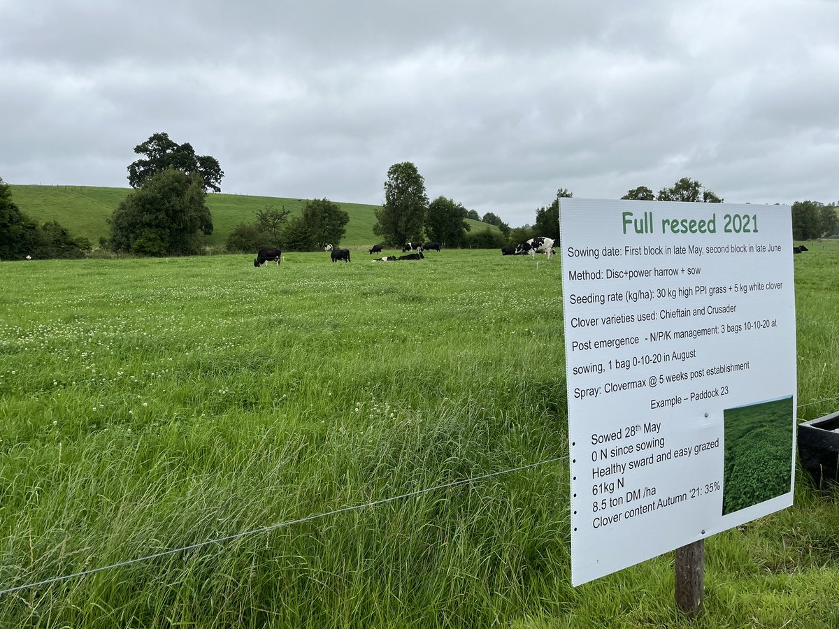 A strong message at #Ballyhaise24 was to switch to low chemical N clover swards in grazing systems☘️

With over 80% of feed from pastures, clover boosts efficiency and reduces the expense of feed imports and so cuts costs while remaining environmentally sustainable. 

<a href="/teagasc/">Teagasc</a>