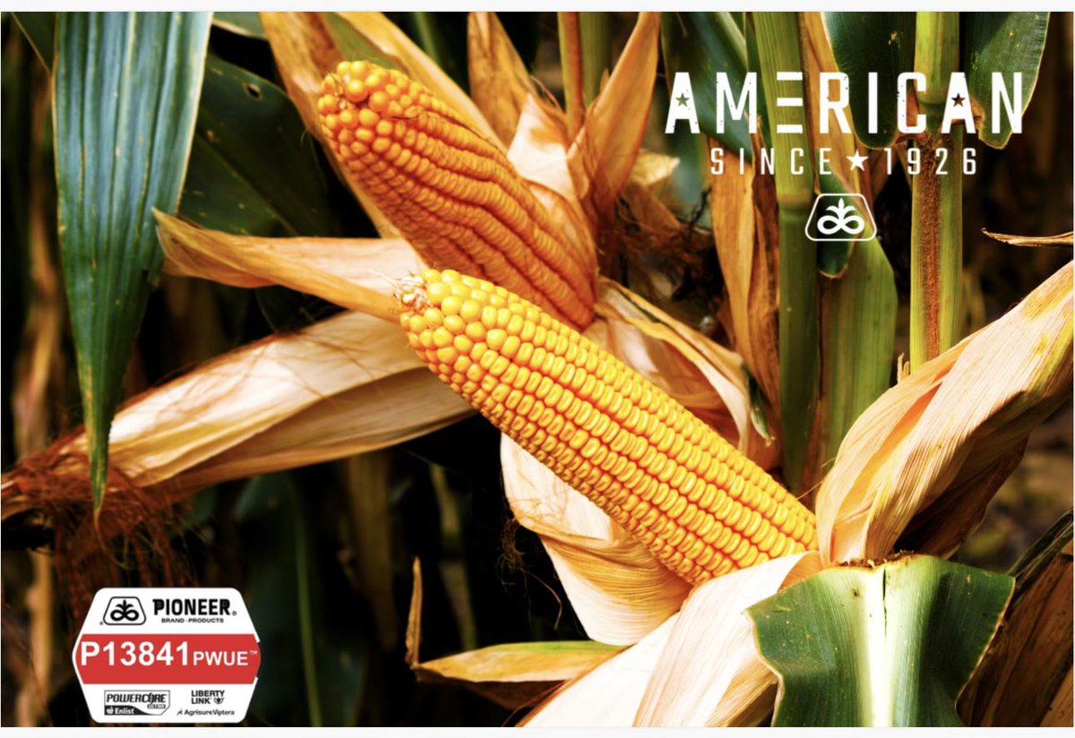 Jason Rudick tweet media