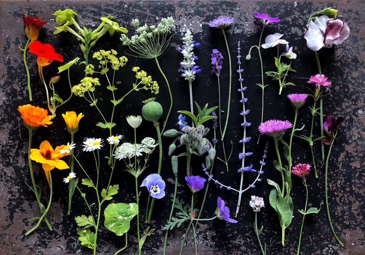 Growing in the garden, late July: