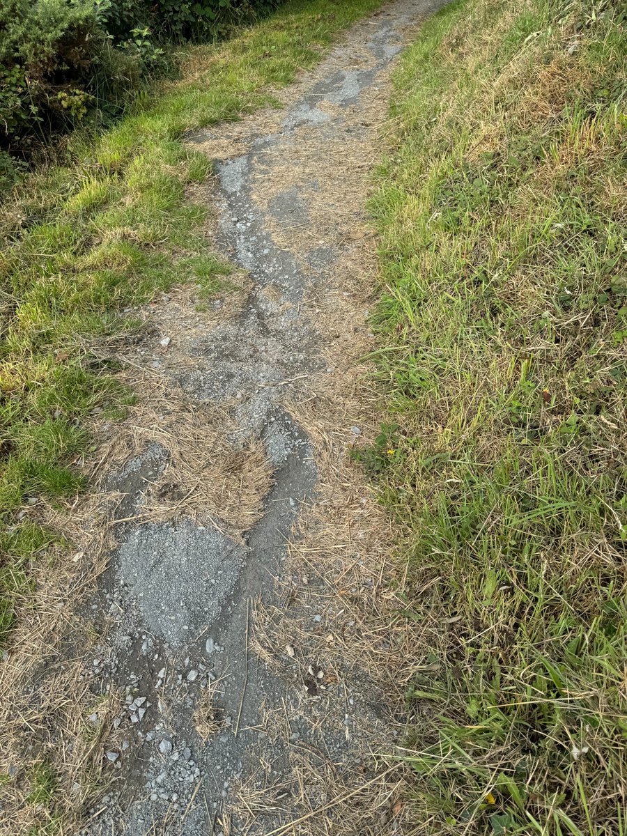Alan_yn_Aber's tweet image. Sadly looks as though part of the path on Pendinas has now washed away - #Penparcau, #Aberystwyth #Ceredigion @RamblersCymru Also looks as though a similar issue is occuring on the scheduled area @CADW. Advice on 'cut &amp;amp; lift' is needed I think.