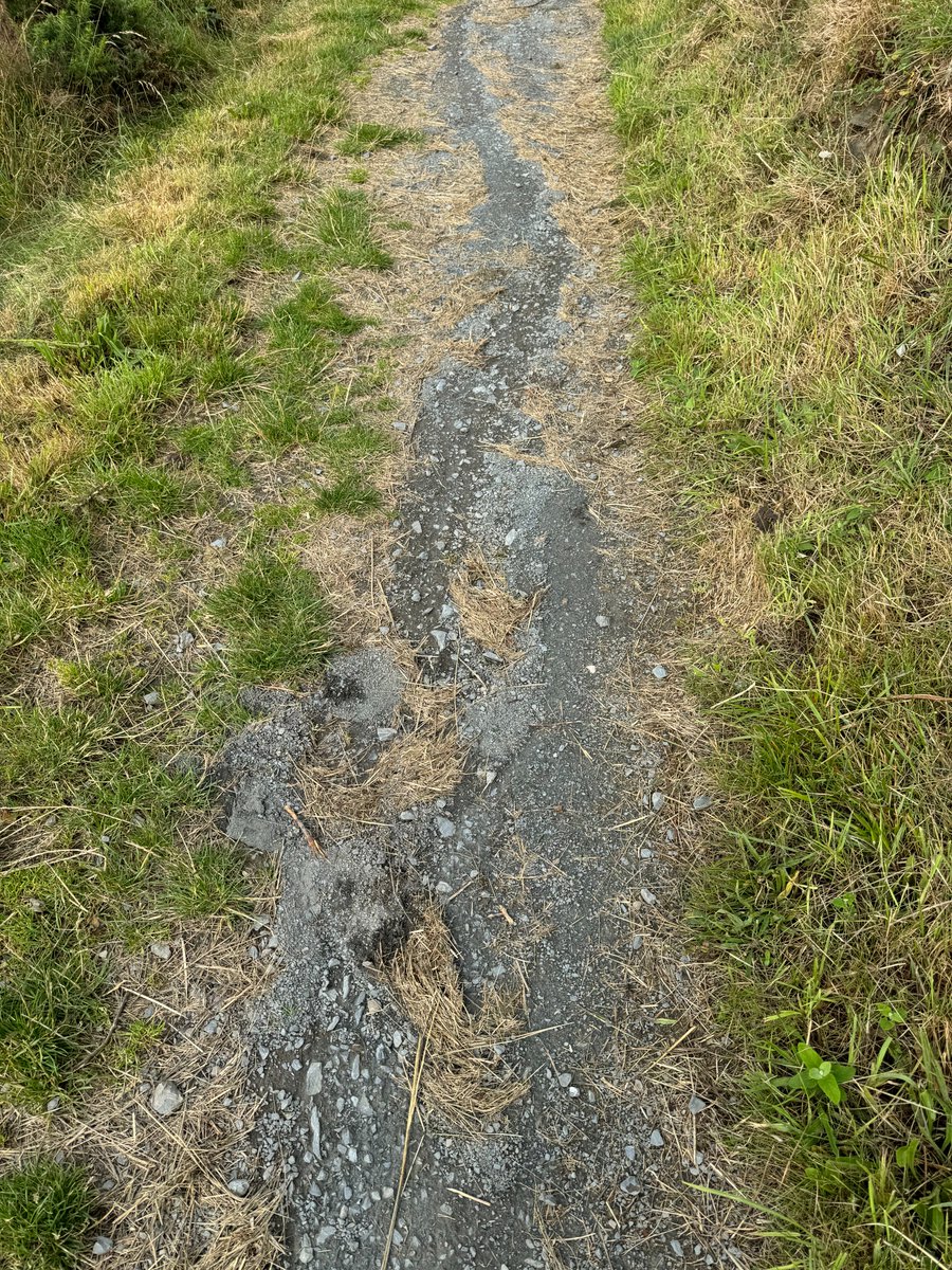 Alan_yn_Aber's tweet image. Sadly looks as though part of the path on Pendinas has now washed away - #Penparcau, #Aberystwyth #Ceredigion @RamblersCymru Also looks as though a similar issue is occuring on the scheduled area @CADW. Advice on 'cut &amp;amp; lift' is needed I think.