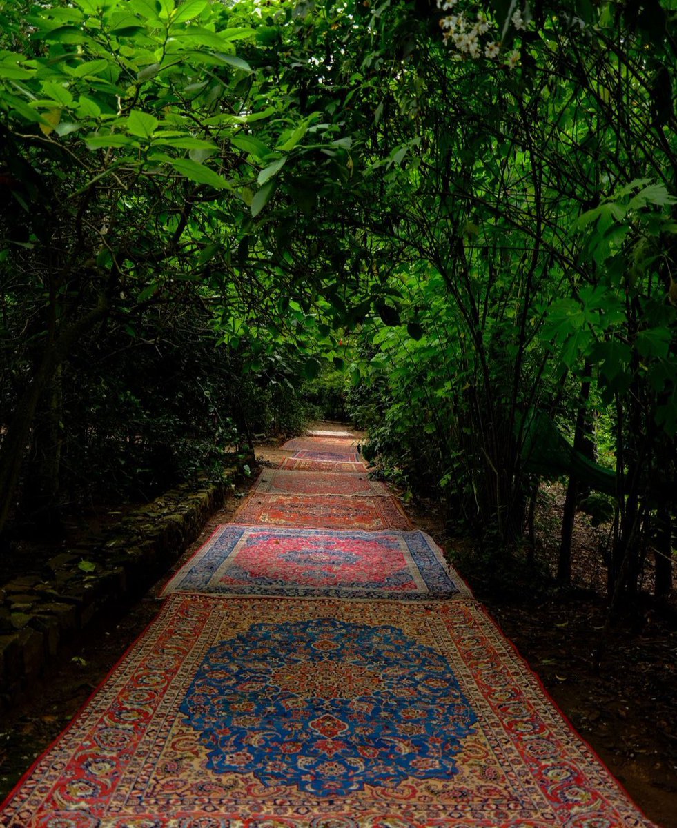 ٰ (@preconsciouss) on Twitter photo 