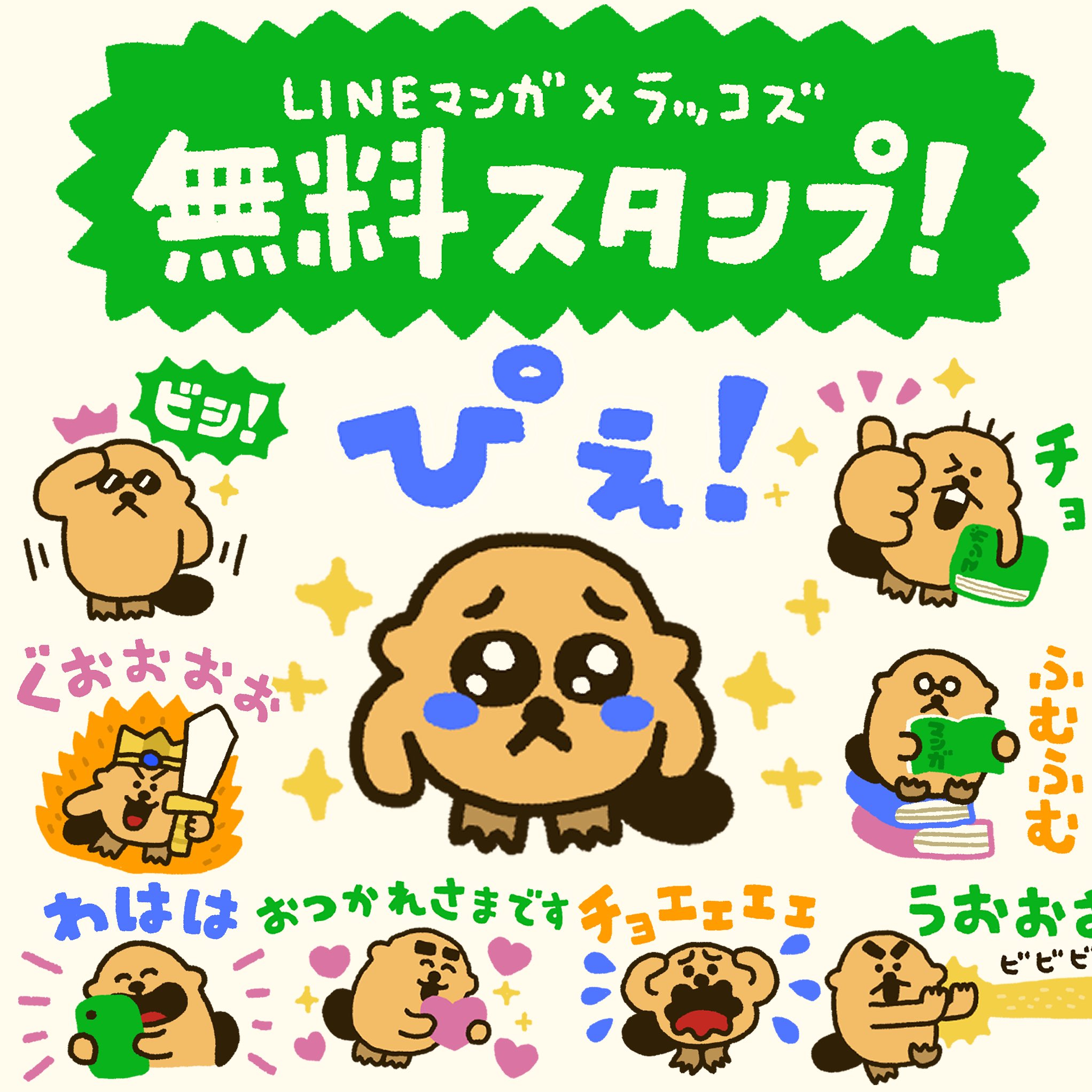 ラッコズ RACCOS on X: 