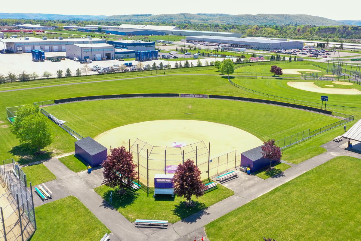 Elmira College Softball tweet media