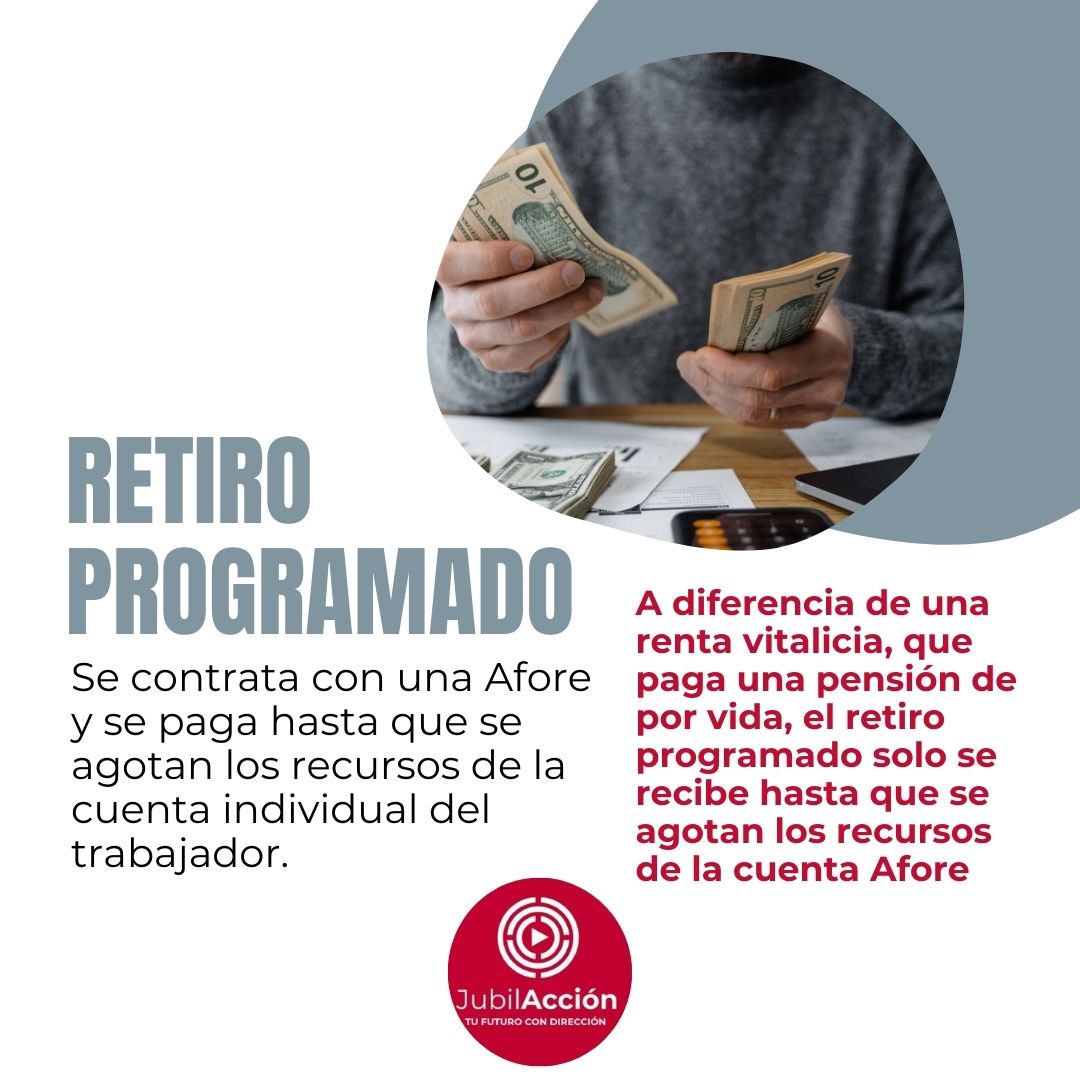 Jubilaccionmx's tweet photo. Con la #Ley97 Tu pensión dependerá exclusivamente del saldo acumulado en tu cuenta AFORE.
💰💸Bajo este Régimen de pensión existen 3 modalidades por las que te puedes pensionar 👇 https://t.co/KwHv9xFsZ0