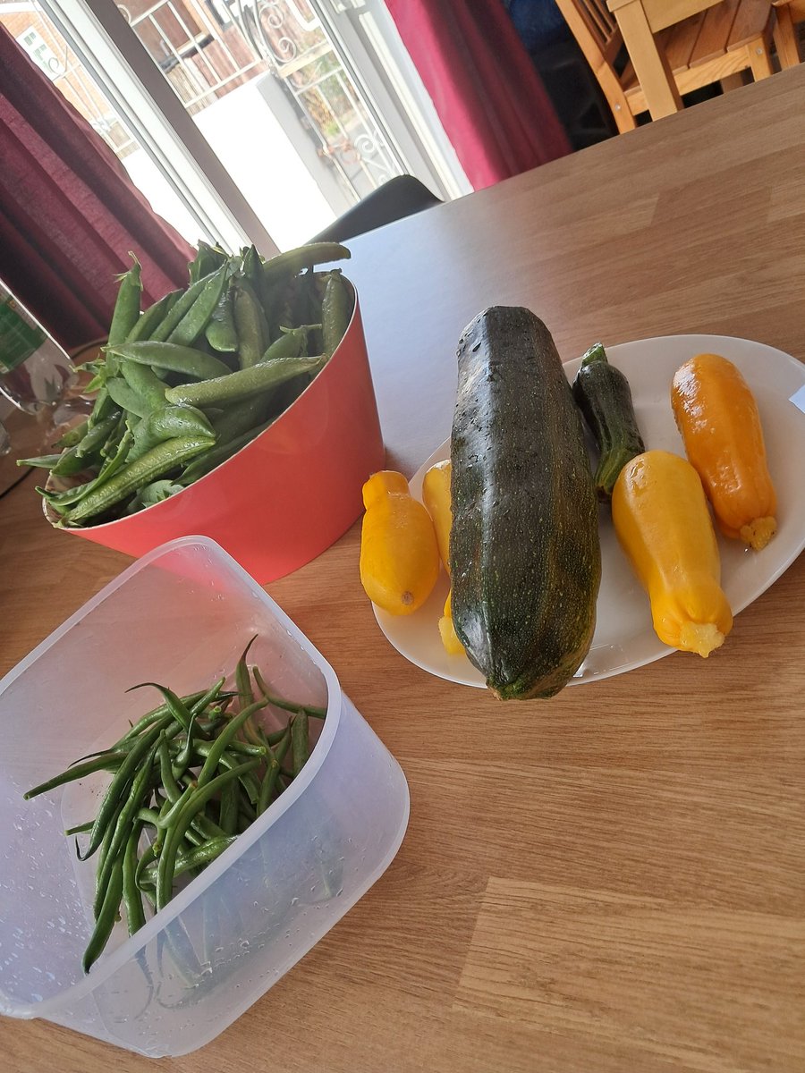 Whitmore Garden tweet media