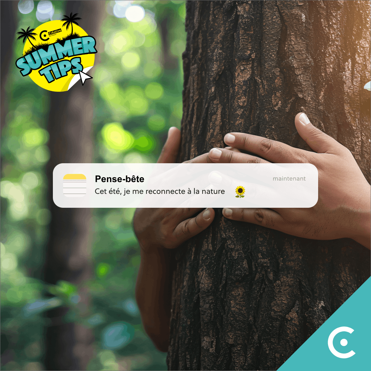 Creative_FC_'s tweet image. 🌞🌿 Crēative Summer Tips - Episode 1🌿🌞

Tips 1 : Cet été, je me reconnecte à la nature

À la semaine prochaine pour un nouveau tip ! ☀️🍃

#CréativeSummerTips #ReconnectToNature #Summer2024 #Randonnées #Camping #Jardinage #CreativeTechSchool