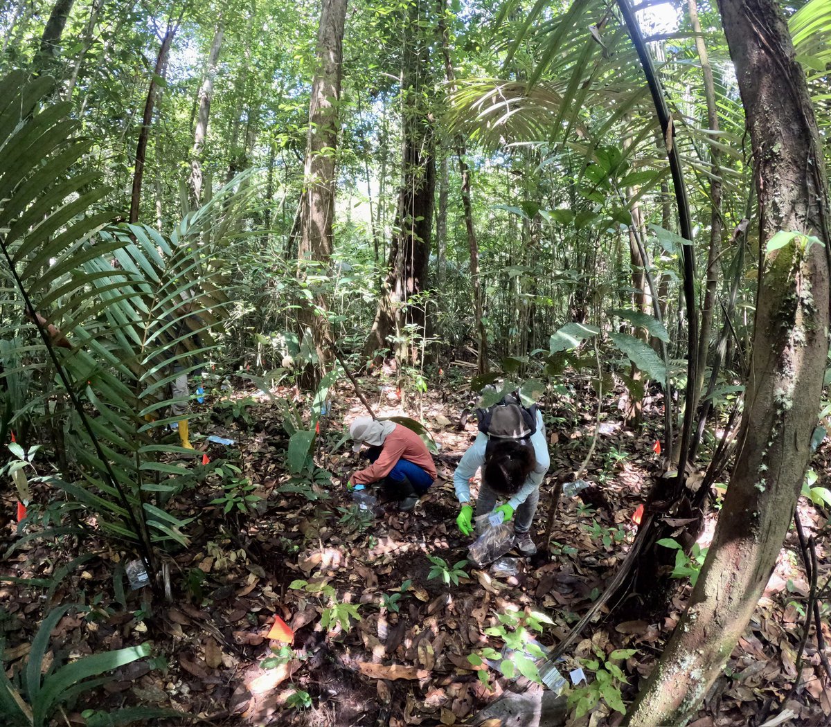 Vincent Merckx tweet media