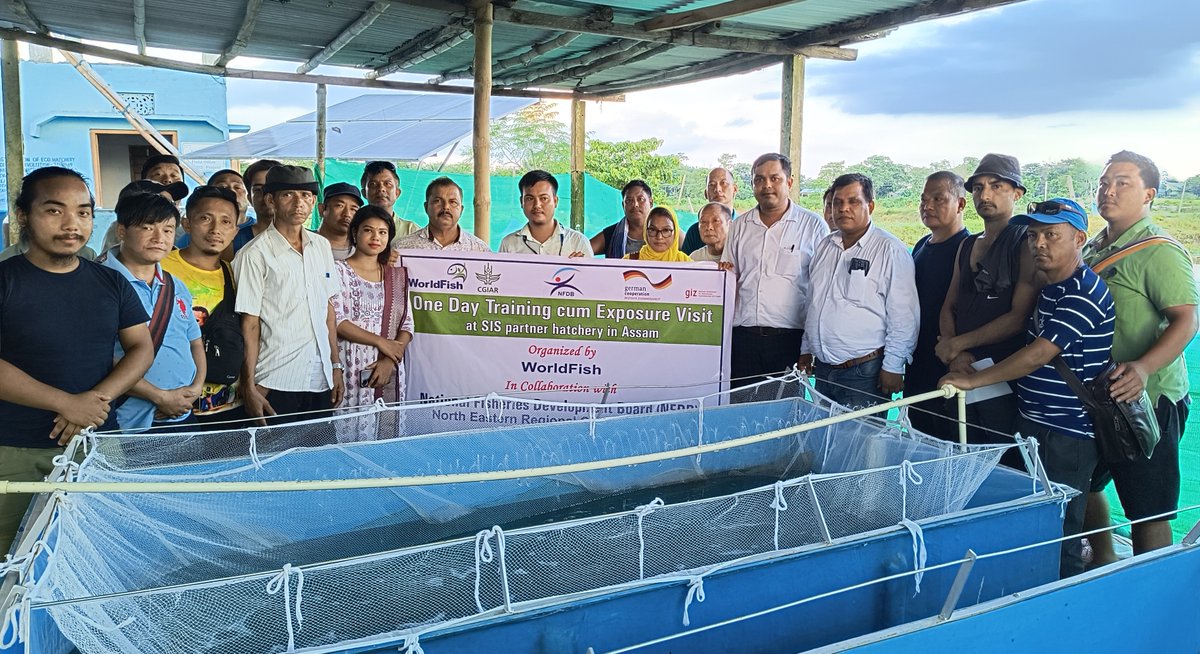 📣 WorldFish, in collaboration with the <a href="/nfdbindia/">NATIONAL FISHERIES DEVELOPMENT BOARD</a> in Guwahati, conducted a one-day training session for farmers from Sikkim, Nagaland, and Assam. 

The training was focused on small indigenous fish breeding &amp; nursery management.

#AquaticFoods